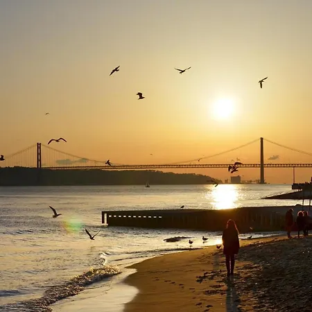 Famous Crows Konukevi Lisboa